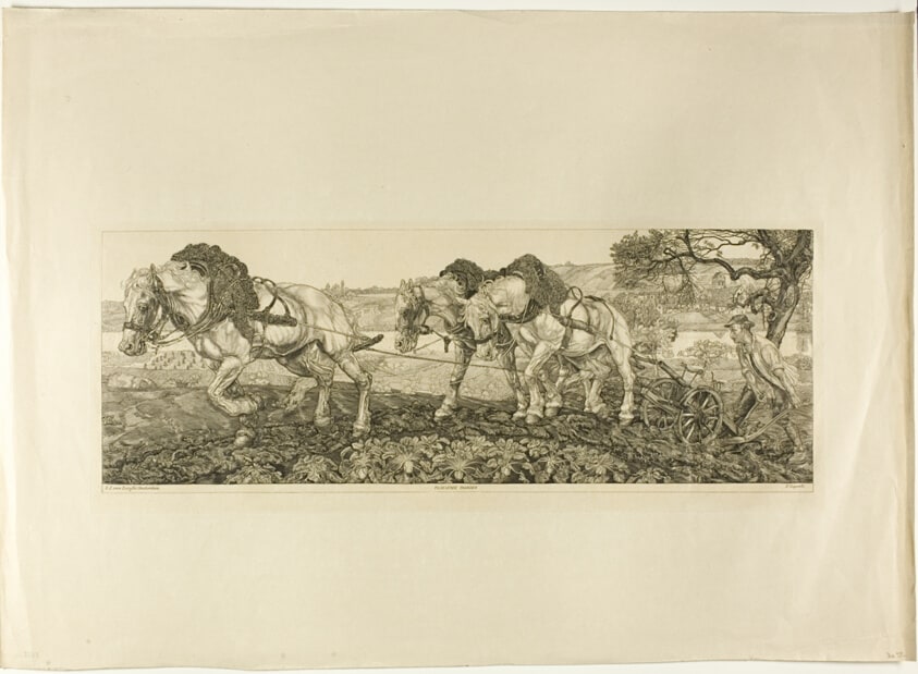 Plowing Horses
