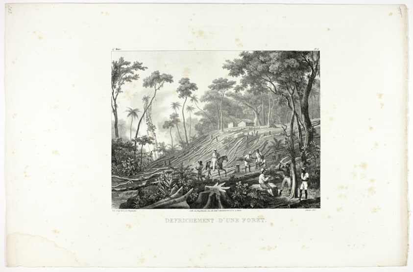 Clearing the Forest, plate 6 from Customs and traditions of Negroes, volume 4 of Voyage pittoresque dans le Brésil