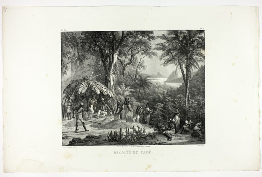 Coffee Harvest, plate 8 from Customs and traditions of Negroes, volume 4 of Voyage pittoresque dans le Brésil