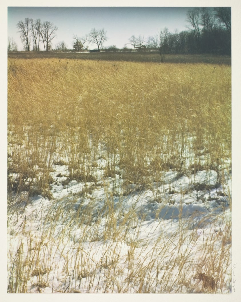 Winter Field
