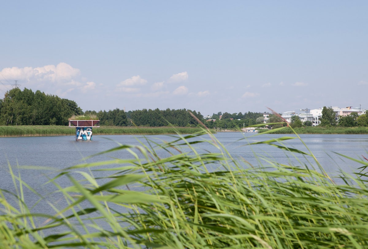 Short Island