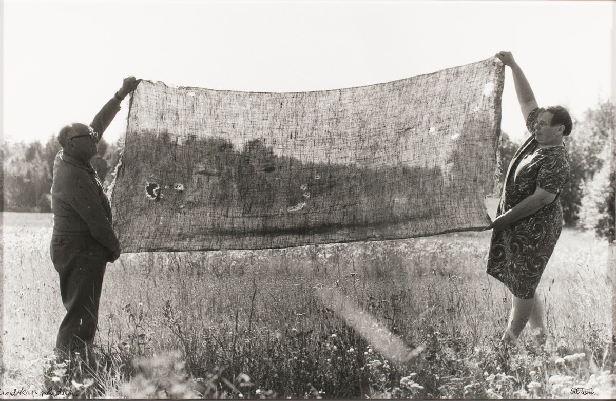 Landscape on Canvas