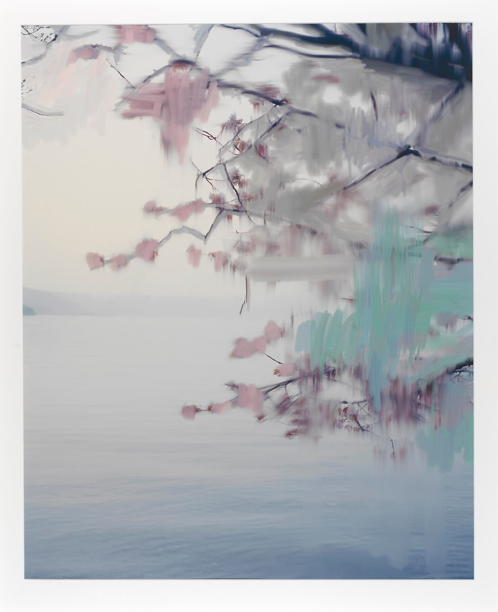 Untitled (Sakura 3)