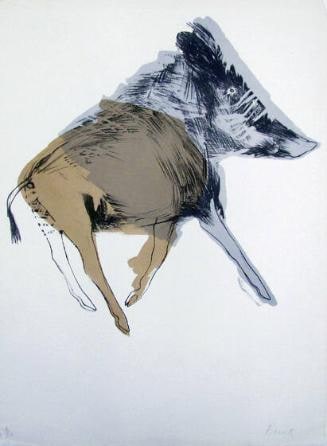 Images 67: Lioness (7 Of 10 Prints)