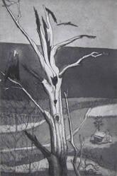 People Tree