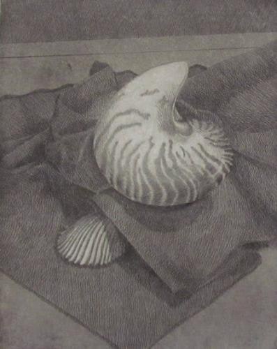 Nautilus #2