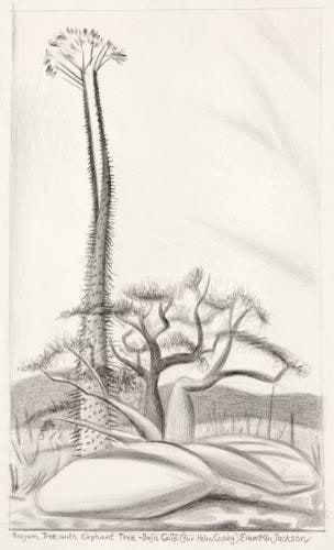 Boojum Tree with Elephant Tree - Baja Calif.
