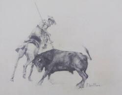 Picador and Bull