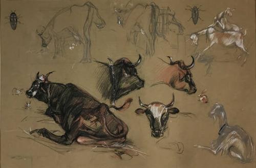 Study Of Barnyard Animals