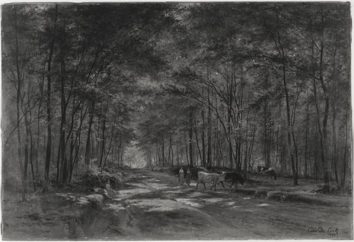 Le matin dans le bois, à Sèvres