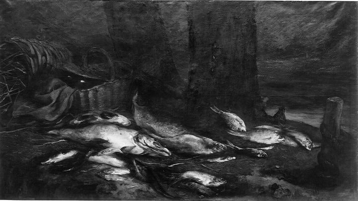 La pêche à l'épervier