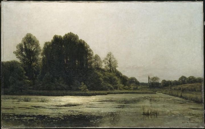 Un étang. Paysage à Cernay