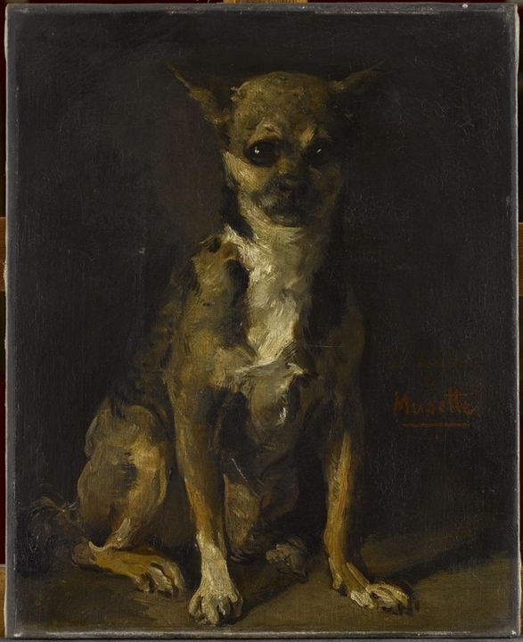 Musette