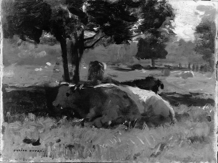 Vaches dans une prairie
