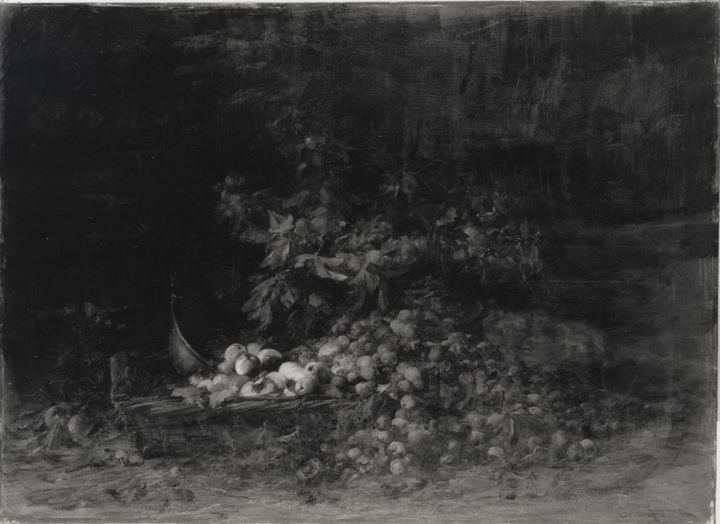 Pêches et reines claudes