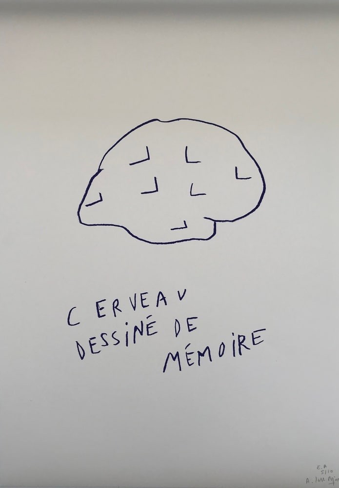 Cerveau dessiné de mémoire