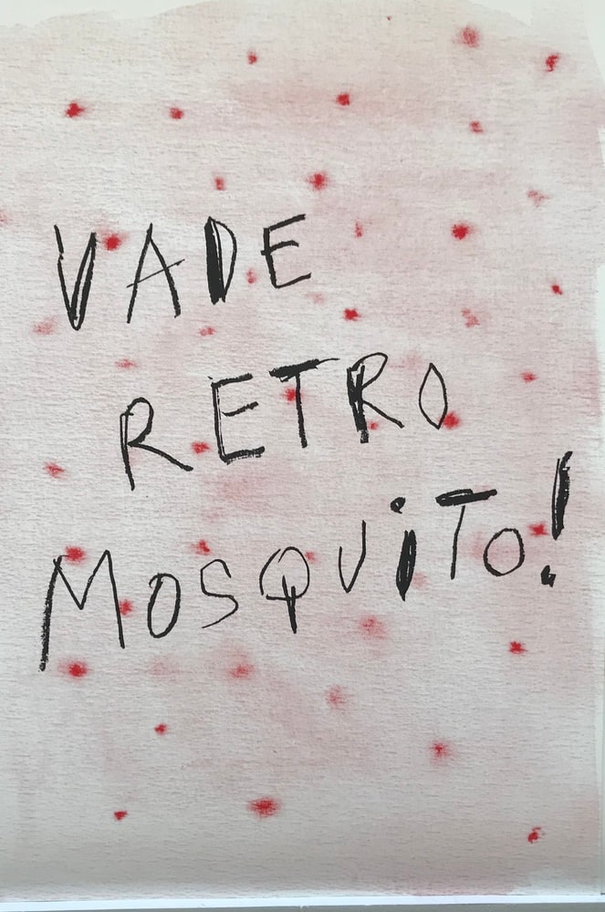 Vade Retro Mosquito !