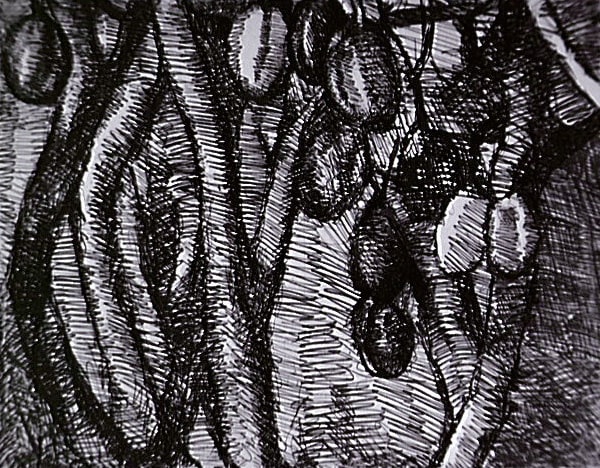 Fruits à l'arbre