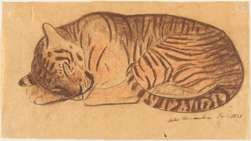 Jeune tigre de l'Annam