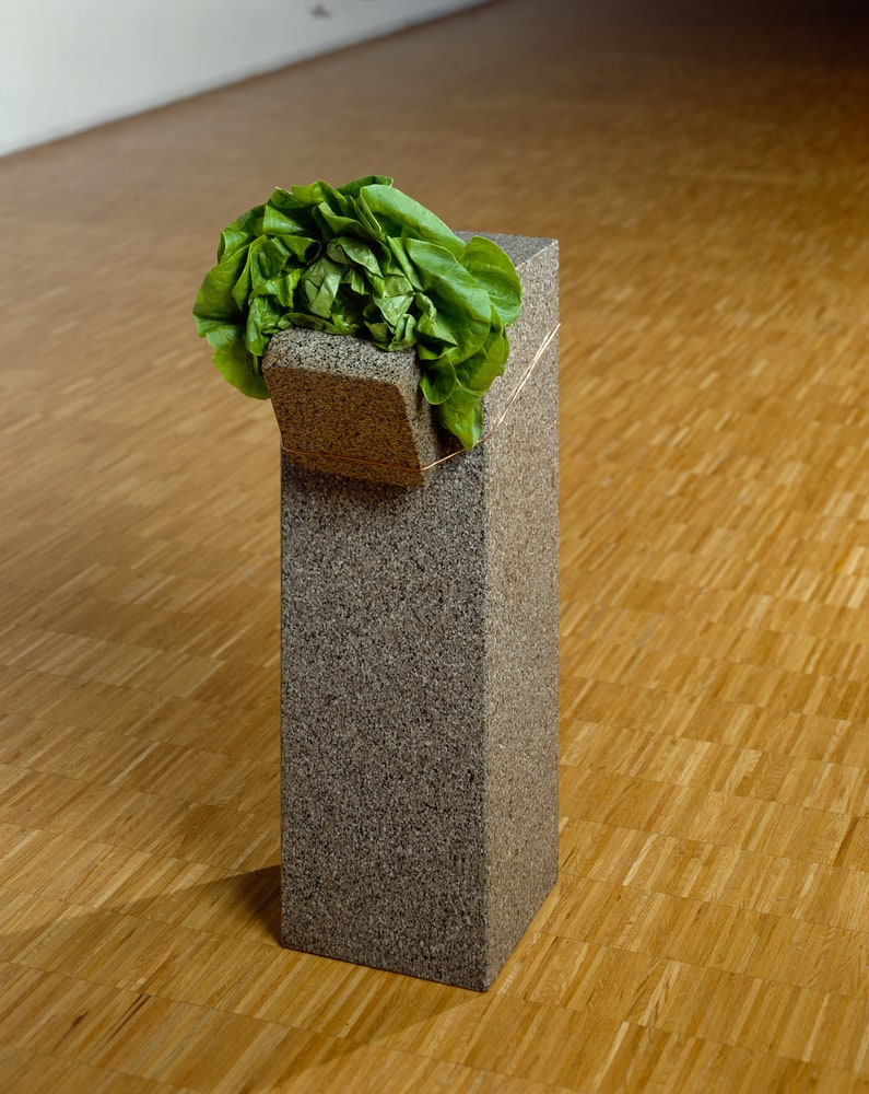 Sans titre, (granit, laitue, fil de cuivre)