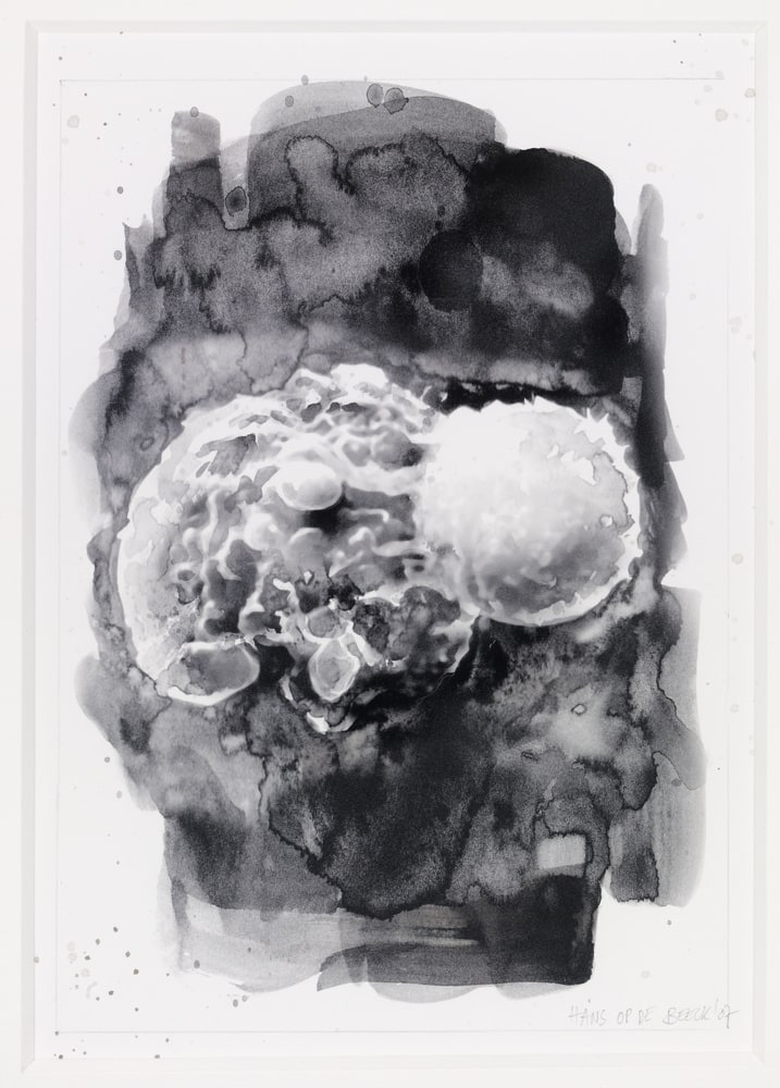 Cancer Cell