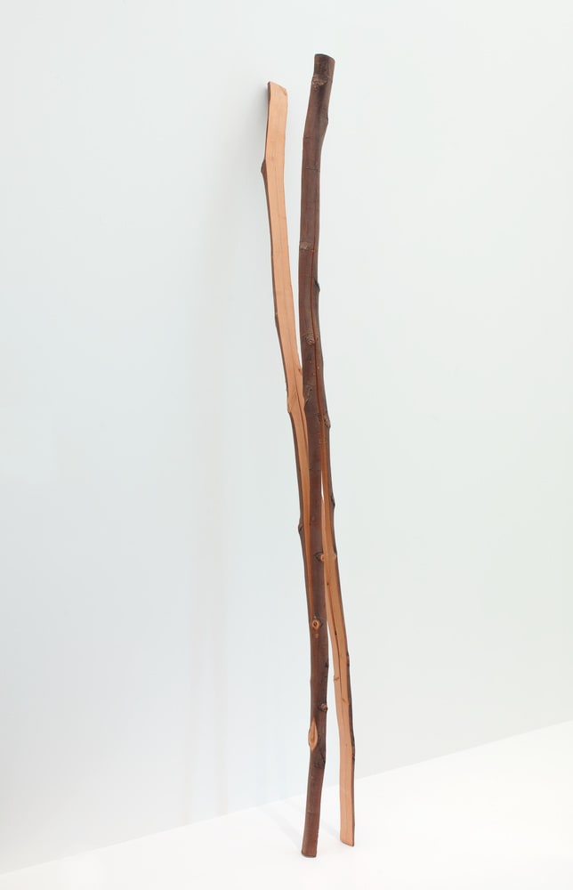 Ecarté n°13