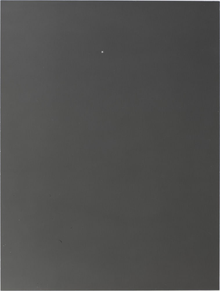 Untitled (Cat / Condensatioon trail / Mite / Swarrm)