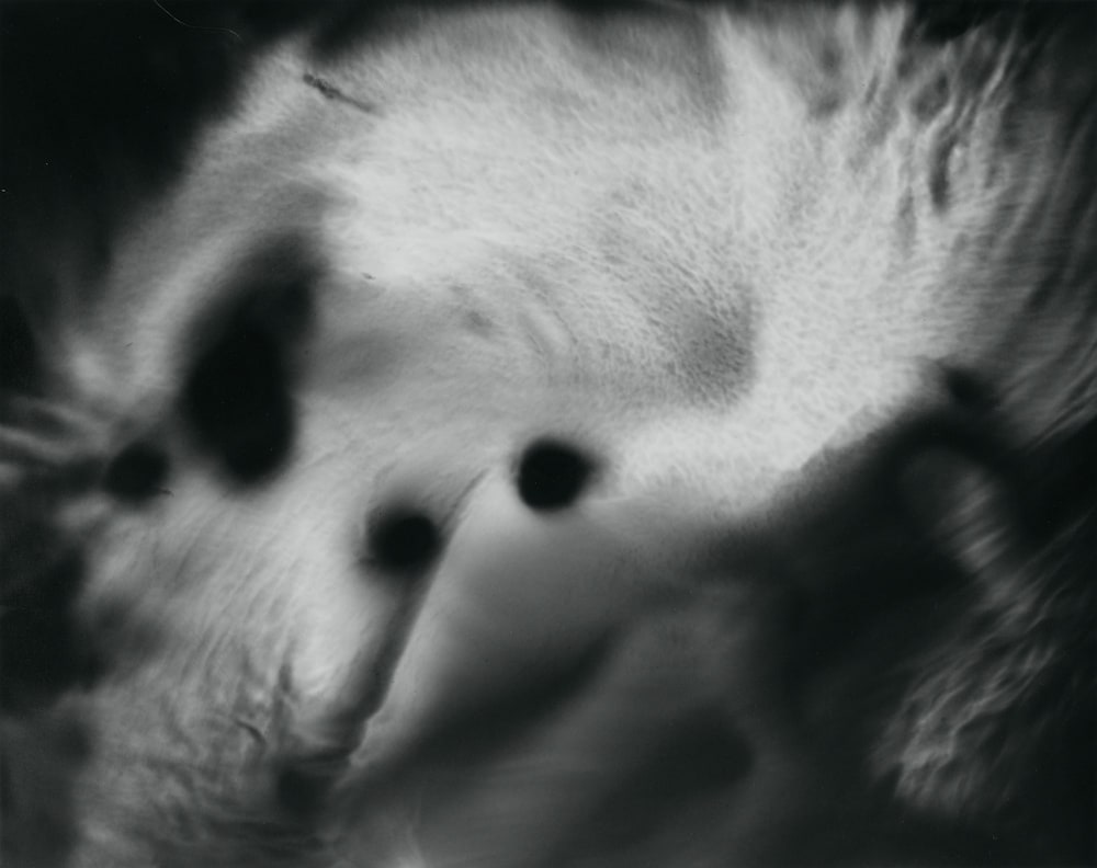 Photographies de la pensée