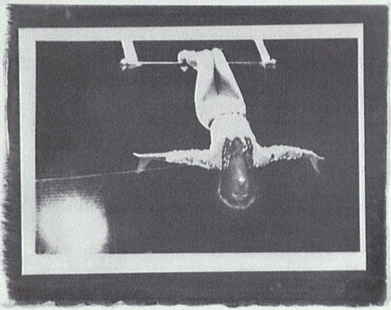 Acrobate