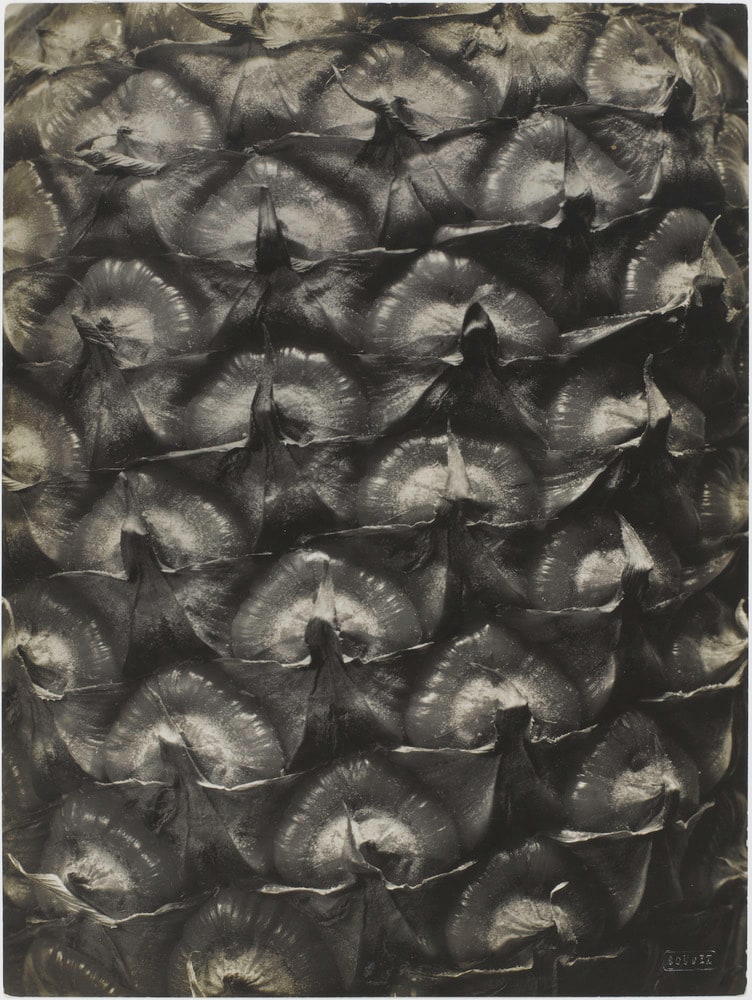 Ananas