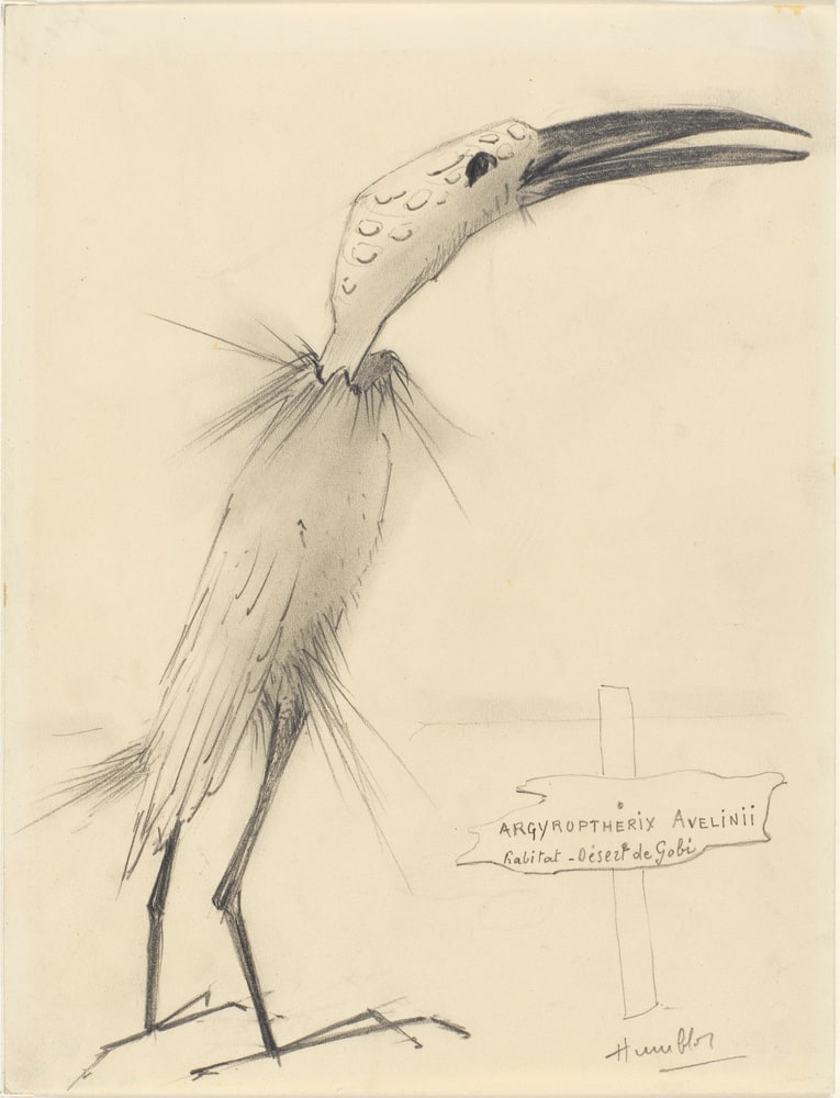 Portrait-de-l'oiseau-qui-n'existe-pas