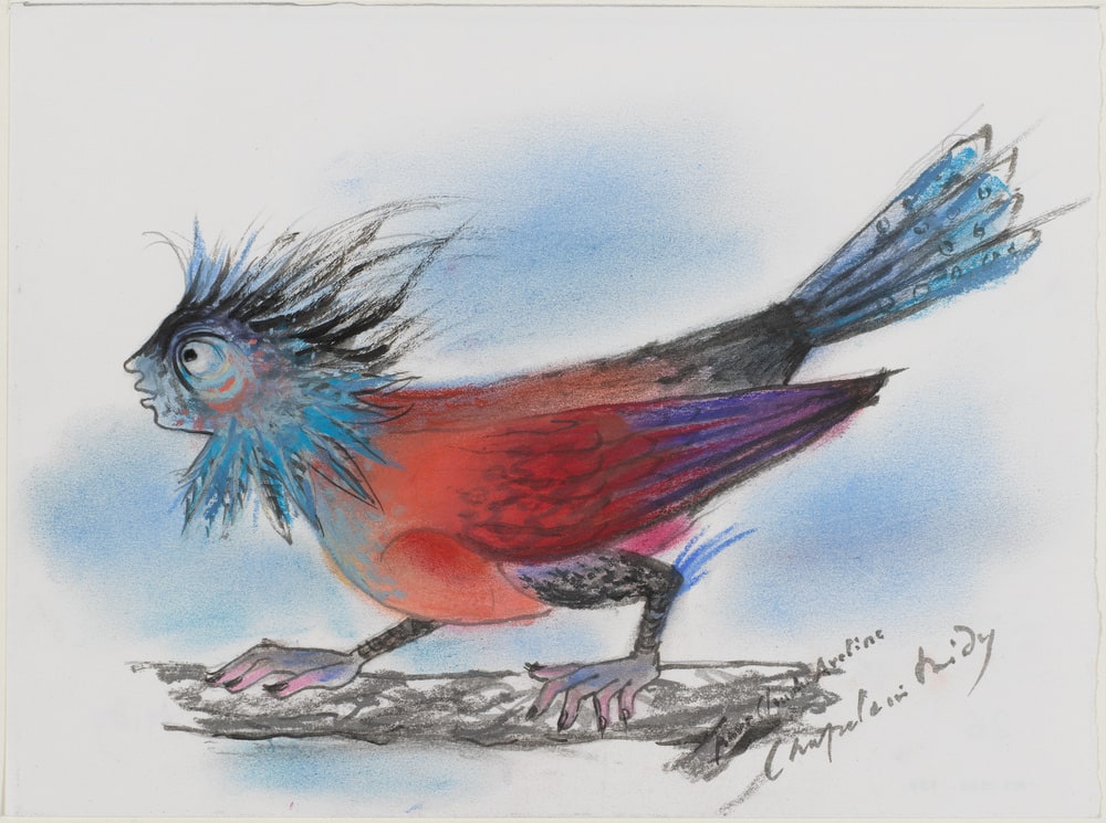 Portrait-de-l'oiseau-qui-n'existe-pas