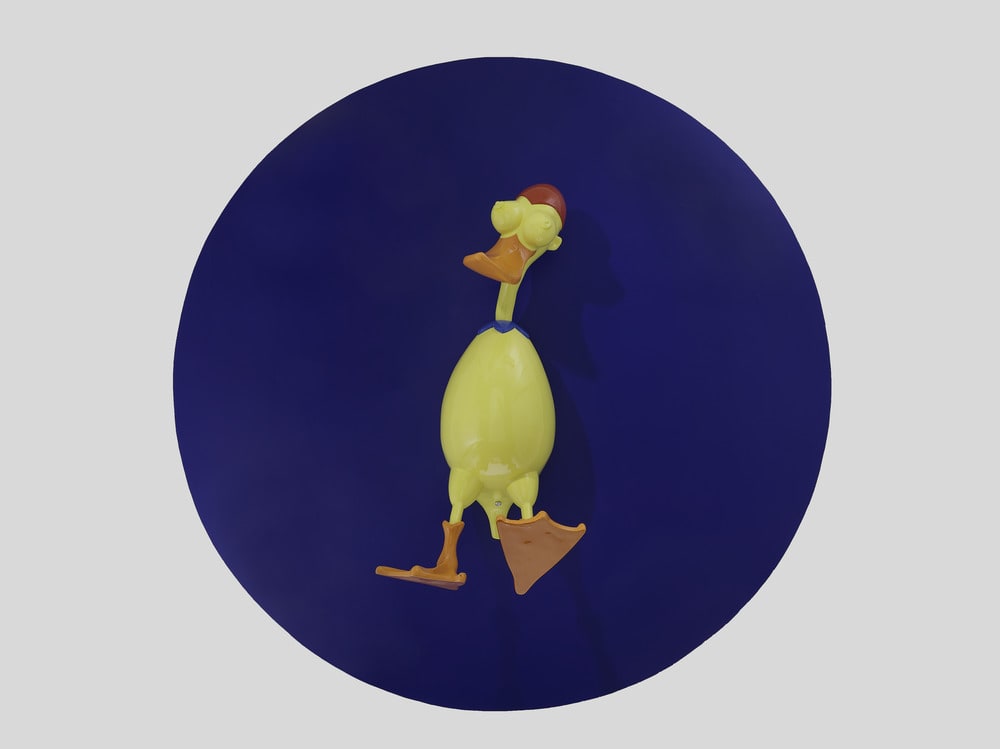 Duck on the Ceiling