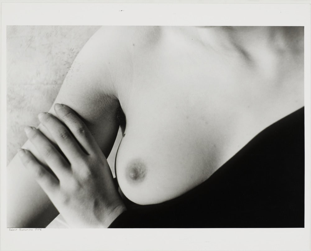 Untitled (Nanette Hand + Breast)
