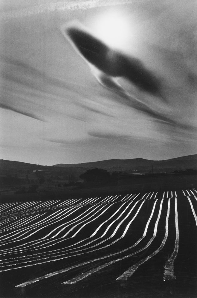 Champs de melons dans le Lubéron