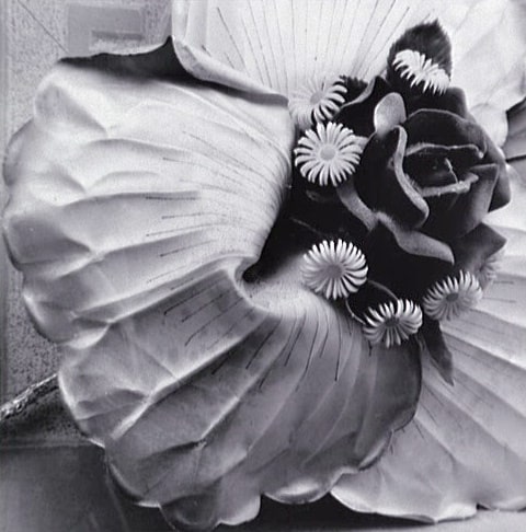 Flores