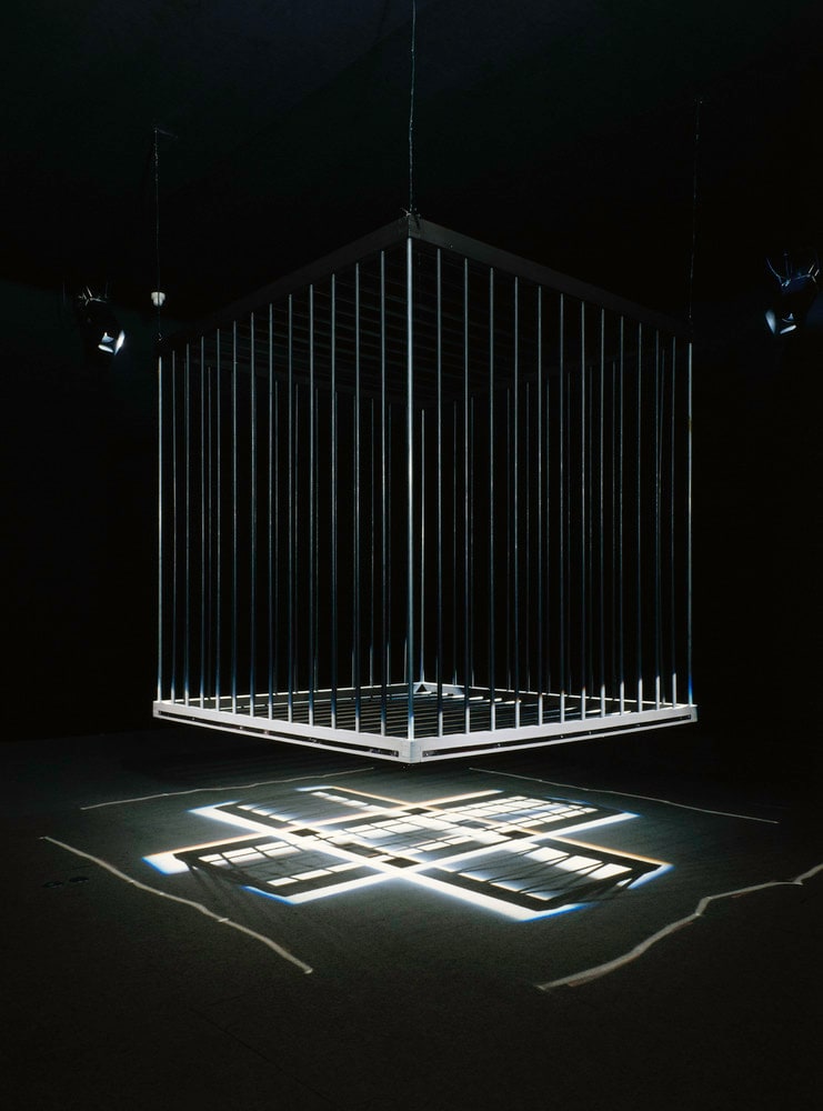 Animal en cage