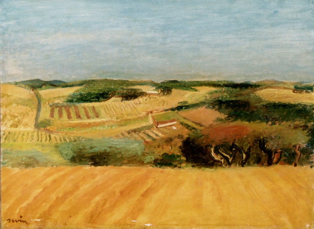Paysage du midi