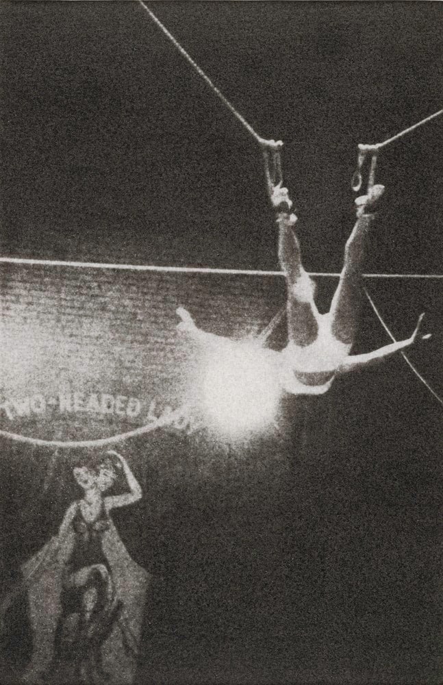 Acrobates