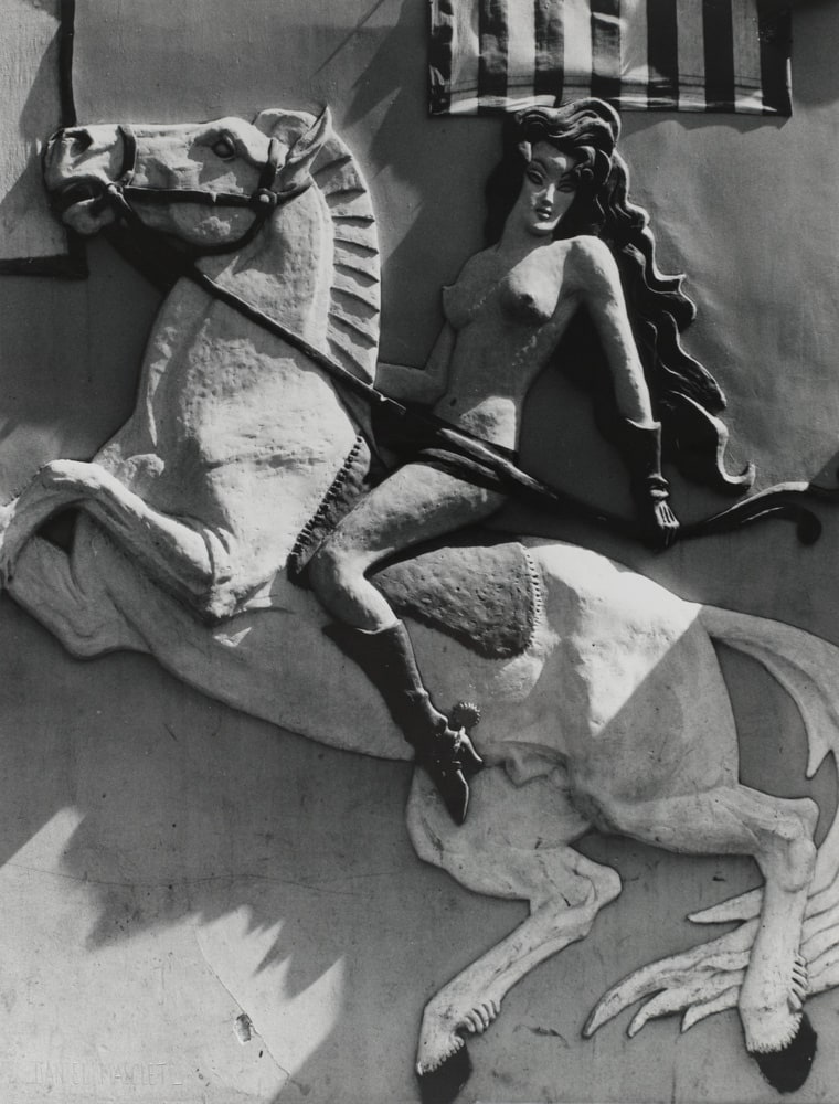 La cavalière Elsa