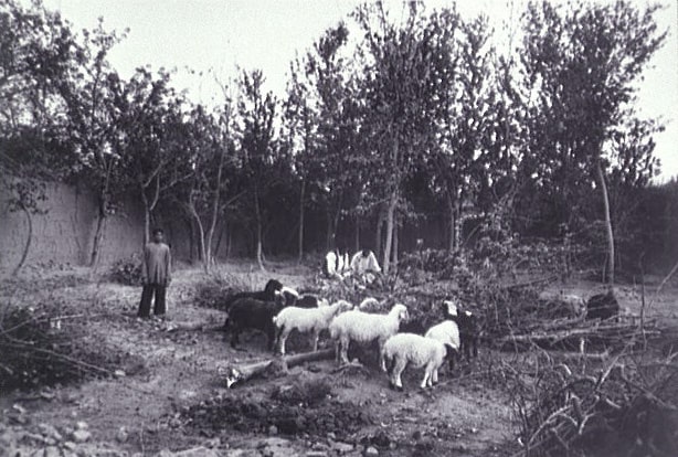 Iran