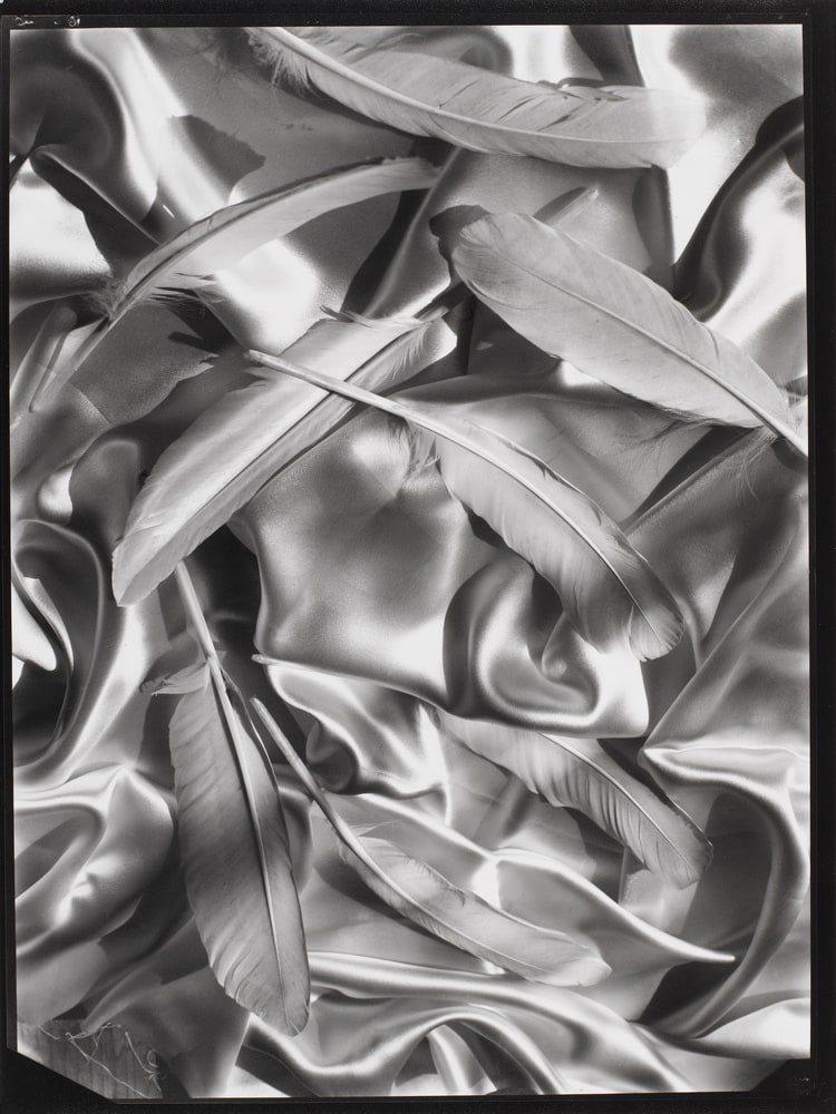 Satin et plumes