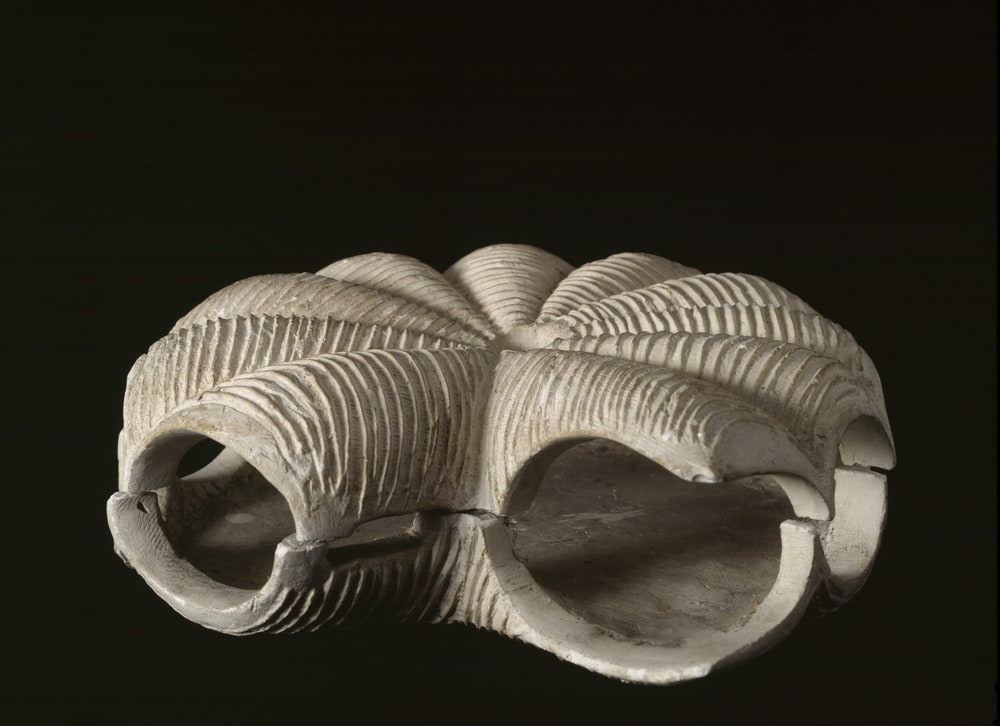 Habitacle "coquillage" Shell