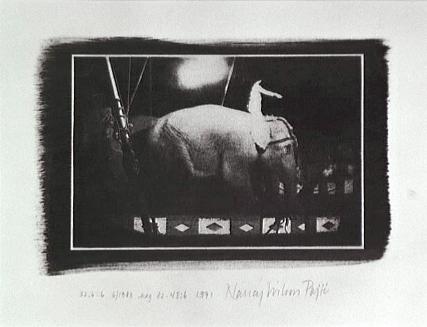 Eléphant