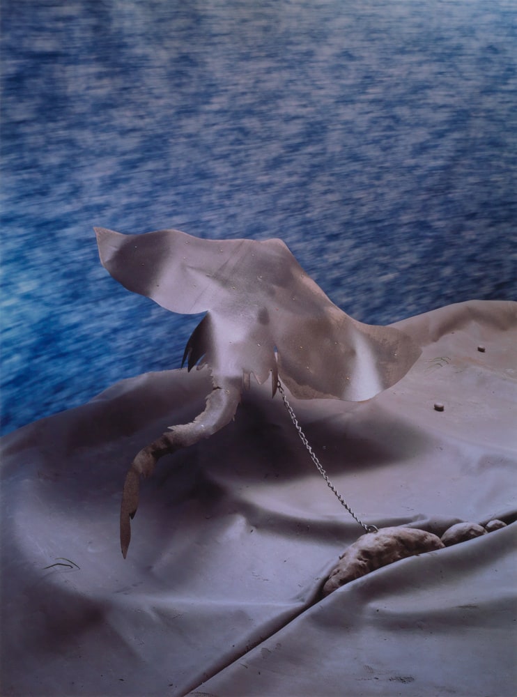 Tethered ray
(La raie enchaînée)