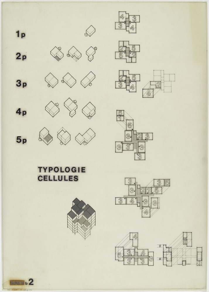 Typologie cellules
