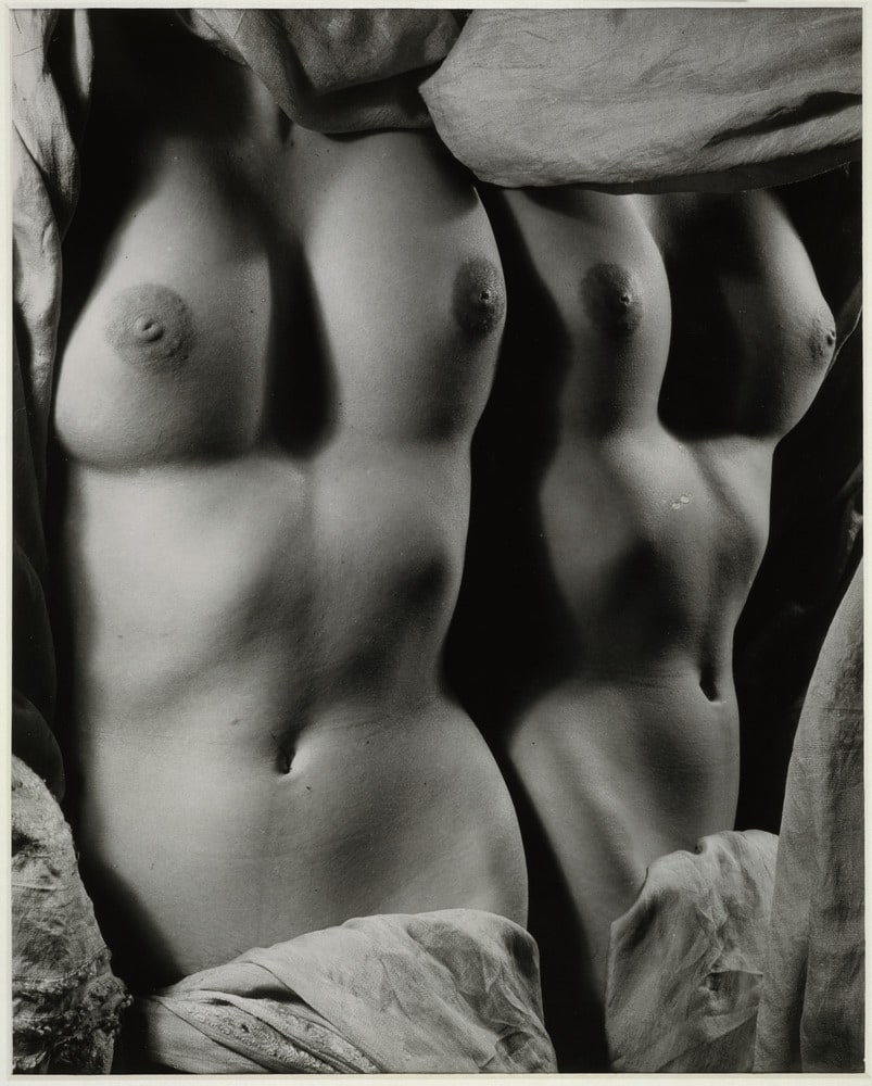 M's Torso in Mirror
(Le torse de M dans le miroir)