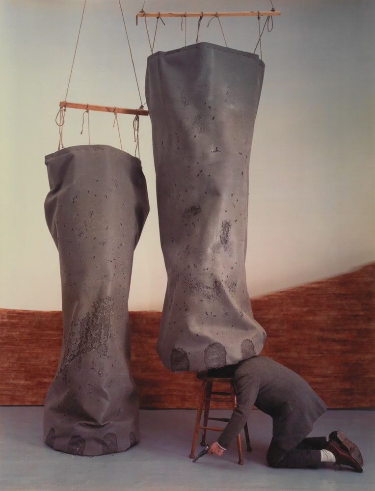 Elephant legs
(Pattes d'éléphant)