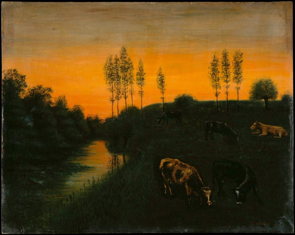 Vaches dans un pré au soleil couchant