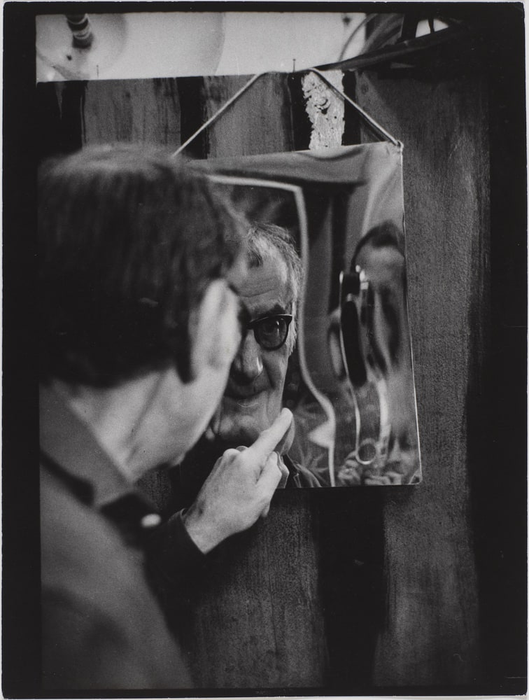 Man ray in a picture polisher plate, Paris